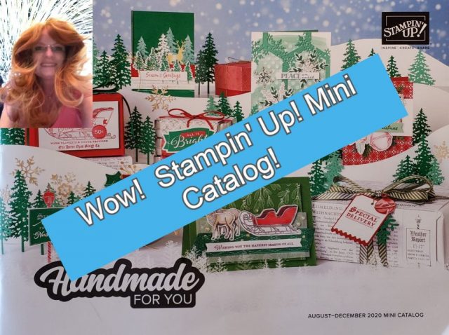 Stampin’ Up! August December 2020 Mini Catalog