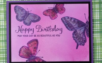 Butterfly Brilliance Birthday Card #stampinup #butterflycards