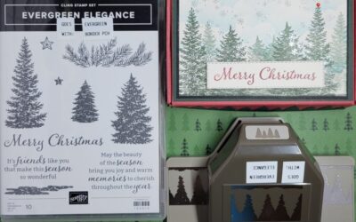 Stampin up Evergreen Elegance Gift Card Box Part 2