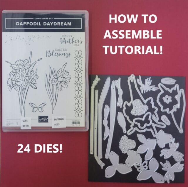 Daffodil Daydream Assembly Tutorial Stampin Up