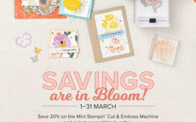 Huge Stampin Up Sale & Early Collection Release