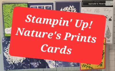 Stampin Up Nature’s Prints Cards & Review