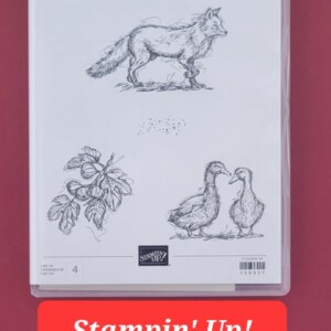 Stampin' Up! Stylish Sketches