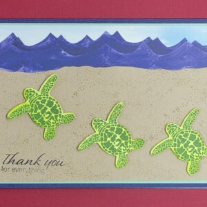 3 Little Turtle Card