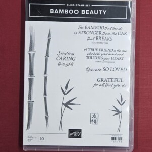 Bamboo Beauty Used - Stampin' Up!