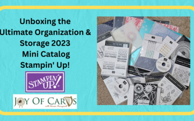 Unboxing the Ultimate Organization & Storage Mini Catalog Stampin Up